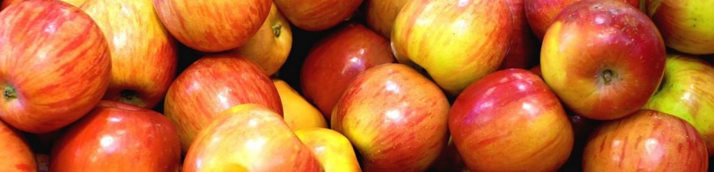 pommes-gala pommes-bio-vente-directe-saverdun