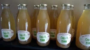 jus-bio-pommes-kiwi-Larlenque
