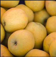 Echange entre producteurs de pommes contre des kiwis